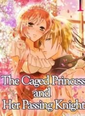 the-caged-princess-and-her-passing-knight-5391