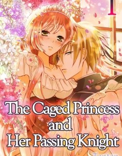 the-caged-princess-and-her-passing-knight-5391