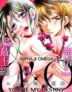 top-class-alpha-x-omega-in-heat-youre-my-destiny-5953